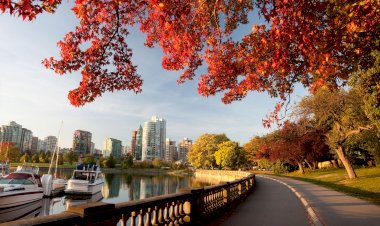 Best Immigration Consultant for Canada Visa Immigration?