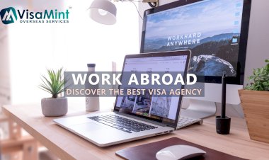 Discover the Best Visa Agents in Hyderabad