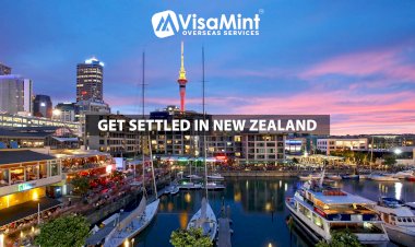 Best New Zealand consultancy in Hyderabad – Get settled in New Zealand!
