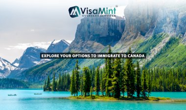 Best Canada Immigration Consultant in Hyderabad – Explore your options to immigrate to Canada.