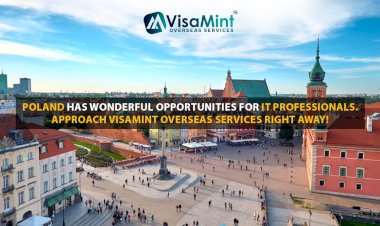 Poland has wonderful opportunities for IT professionals. Approach VisaMint Overseas Services right away!