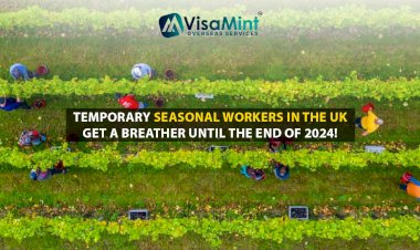Temporary Seasonal workers in the UK get a breather until the end of 2024!