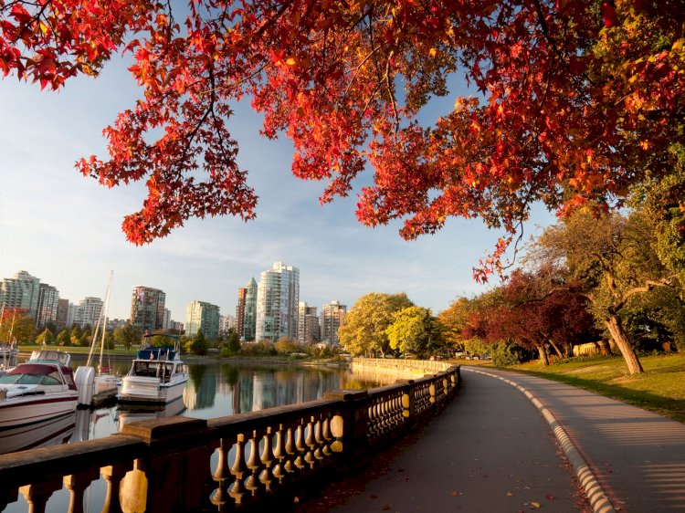 Best Immigration Consultant for Canada Visa Immigration?