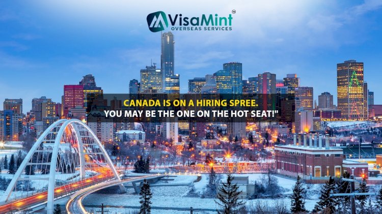 Canada is on a Hiring Spree. You may be the one on the Hot Seat!