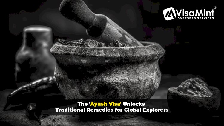 Pioneering the Path to Ancient Healing: The 'Ayush Visa' Unlocks Traditional Remedies for Global Explorers